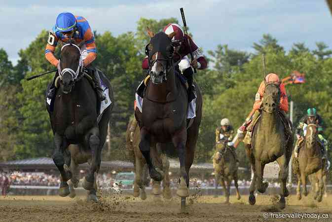 Dornoch pulls off upset to win first Belmont Stakes run at Saratoga racecourse