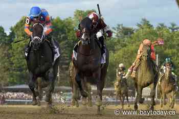 Dornoch pulls off upset to win first Belmont Stakes run at Saratoga racecourse