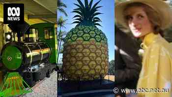 Big Pineapple shining bright as state's big thing is back on show