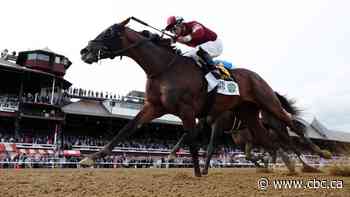 Dornoch pulls upset to win 1st Belmont Stakes run at Saratoga Race Course at 17-1