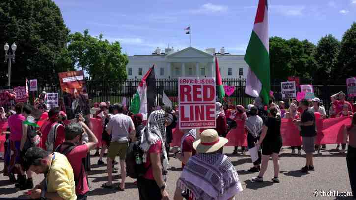 Pro-Palestinian protestors gather at White House