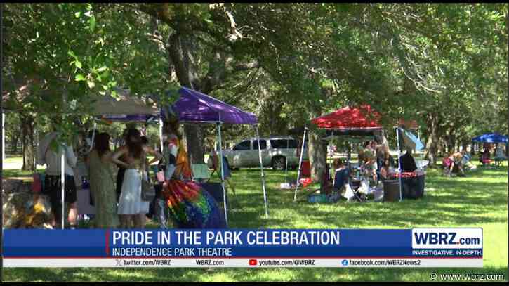 'Pride in the Park' celebration shows support of local artists and vendors