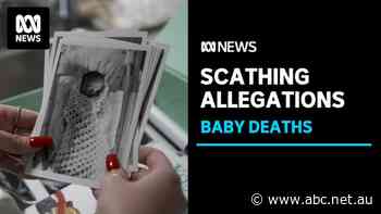 Queensland hospital accused of 'abysmal' care after baby deaths