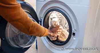 Laundry expert’s best way to load a washing machine to guarantee ‘proper clean’ washing