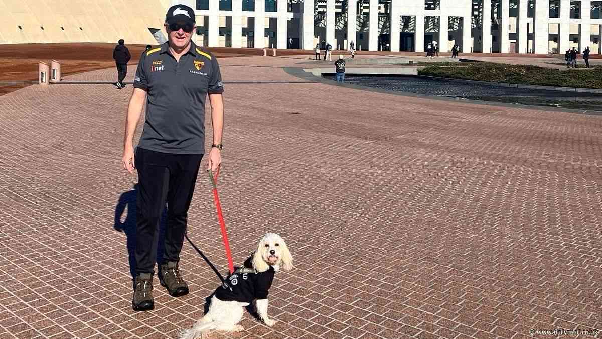 Why Aussies are furious over this ordinary photo of Anthony Albanese and his dog Toto
