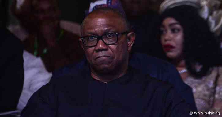 Peter Obi urged to 'move on from losses' of 2023 polls