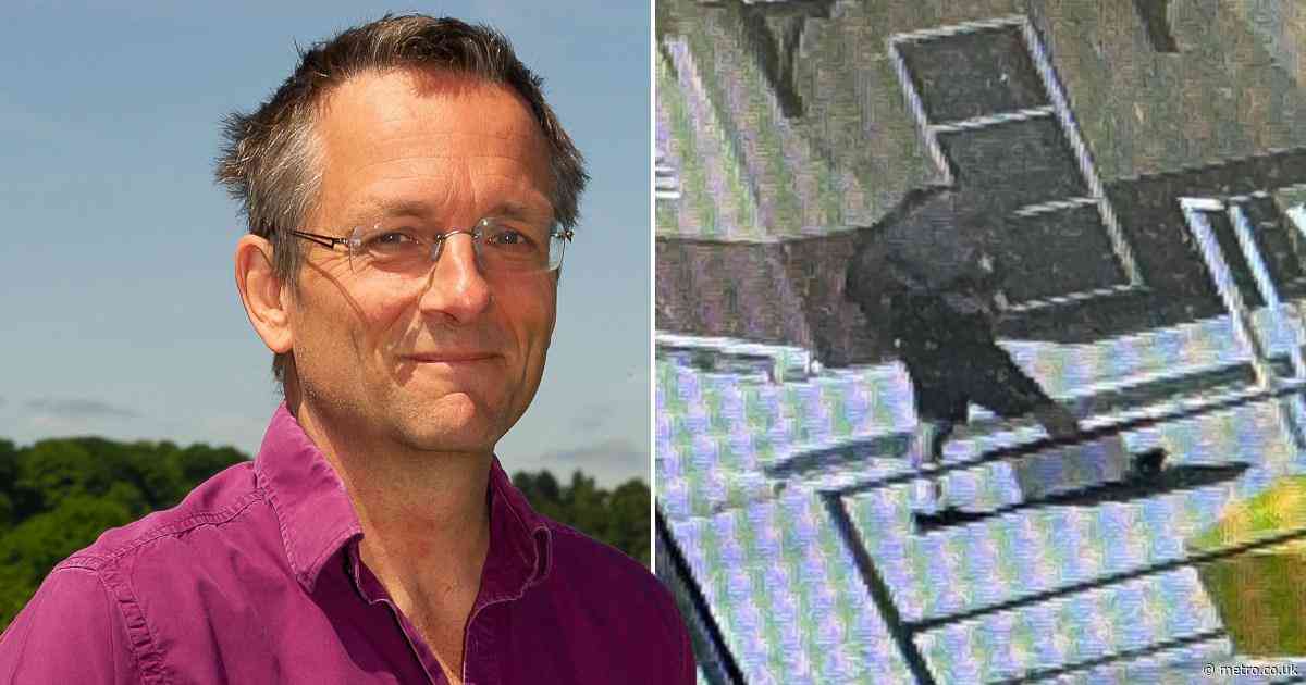 Fears missing Michael Mosley is ‘trapped’ in underwater tunnels as search heightens for TV star