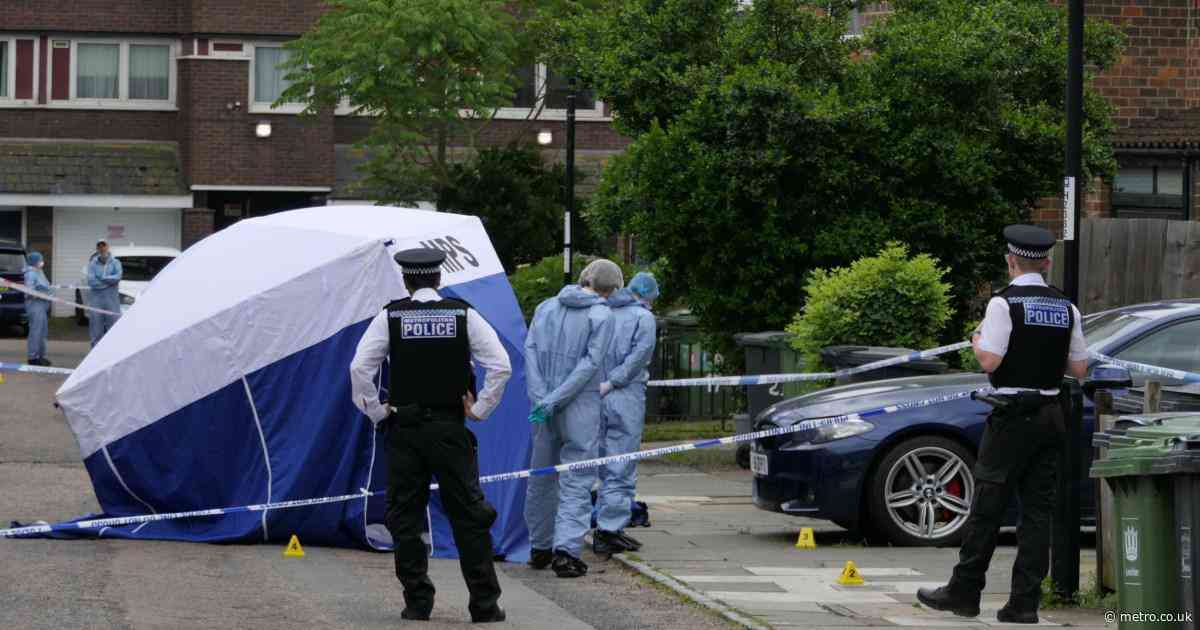 Man dies after he was stabbed multiple times in ‘horrific’ attack in London