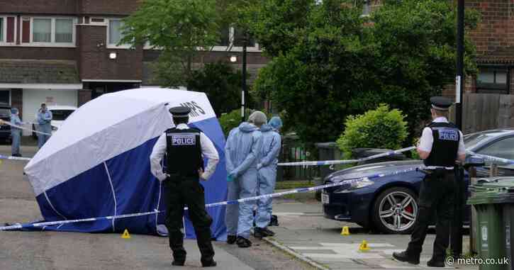 Man dies after he was stabbed multiple times in ‘horrific’ attack in London