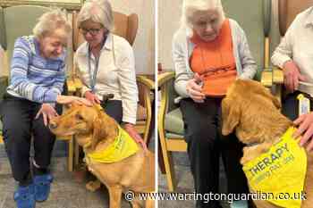 Therapy dog pays special visit to Arlington House