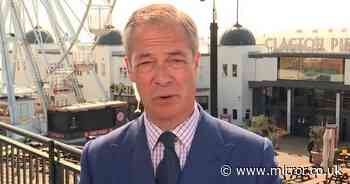 Nigel Farage under fire for 'dog whistle' attack on Rishi Sunak