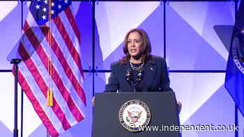 Kamala Harris responds to heckler in Detroit: ‘I am speaking right now’