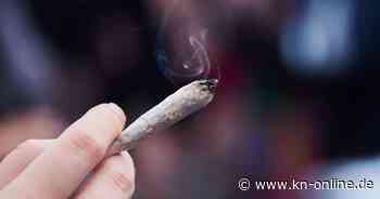 Bislang zwölf Cannabis-Verstöße vor Kitas und Schulen