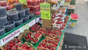 Quebec strawberries struggle against cheaper imports from California and Mexico