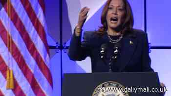 'I'm speaking right now!' Kamala Harris lashes out at heckler at Detroit dinner with Octavia Spencer despite mourning loss of 'innocent lives' in Gaza after Israeli hostage rescue