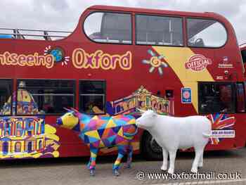 OxTrail prepares trail with 30 ox sculptures across Oxford