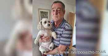 Man claims he had to visit A&E after 'wild' dog attack