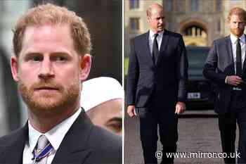 Prince Harry 'heartbroken and horrified' in moment Prince William finally takes his side