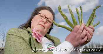 Fortune teller who uses asparagus to predict the future says England will win Euros