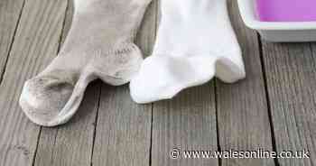 How to get sparkling clean socks without bleach