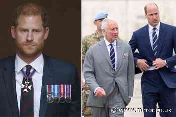 Prince Harry's feud with Royal Family has 'brought Charles and William closer in sad way'