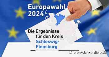Ergebnisse Europawahl 2024 Schleswig-Flensburg: CDU liegt vorne