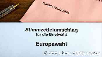 Europawahl in Bad Wildbad: Wahlbeteiligung: einmal top, einmal flop