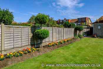 How tall can a garden fence be between neighbours in the UK?