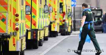 Patient found dead with phone ringing in hand after 10-hour ambulance wait