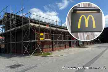 York: Danesgate and Steiner School heads against McDonald's
