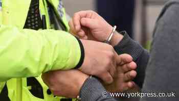 Wanted man caught by police with dog in York