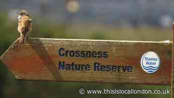 Crossness Nature Reserve Bexley campaign over decarbonisation plants