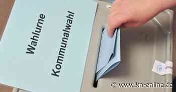 Brandenburg: AfD gewinnt erstmals Kommunalwahlen