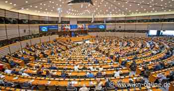 Europawahl 2024: Diese Abgeordneten aus SH kommen ins EU-Parlament