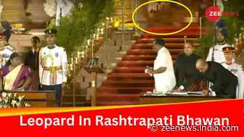 Watch: Leopard Or Cat? Video Of Wild Animal Taking Stroll Behind PM Modi During Swearing-In Event In Rashtrapati Bhawan Goes Viral