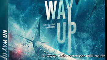 „No Way Up“ - gewinnen Sie den Hai-Thriller auf DVD