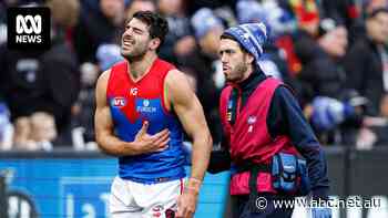 'He can barely move': Petracca flattened in Demons' King's Birthday loss to Collingwood