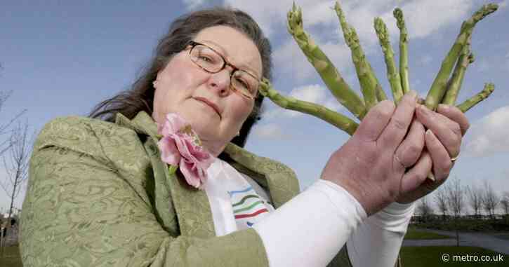 Woman reads her asparagus to tell us how England will do in the Euros