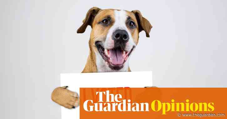 Are all cats Tories? I considered the politics of my pets – and they’re not pretty | Emma Beddington