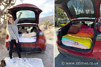 Woman Quits Her Job To Move Into Her Tesla With Her Pets, Now Travels Around The US And Canada