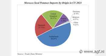 Marokko gaat Amerikaanse pootaardappelen importeren