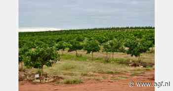 Mozambikaanse citruskwekers sluiten zich aan bij Zuid-Afrikaanse citrusvereniging