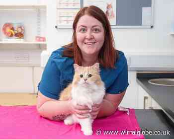 West Kirby vets take on 3,000 mile challenge for stray cats