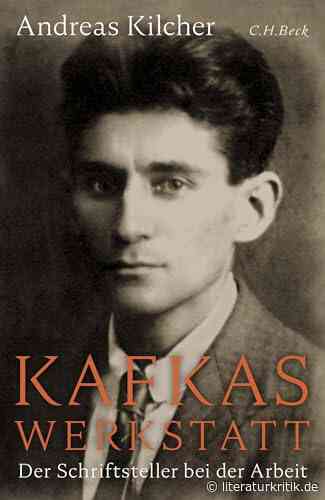 In Kafkas Kraftfeldern