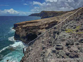 Conservation fence protects endangered seabirds at Molokai preserve
