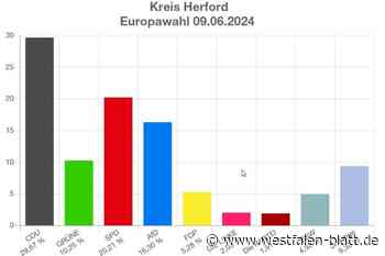 Trotz Wahlsieg: Darum ist Freude bei CDU im Kreis Herford gedämpft