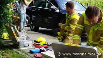 Auto bei A8 plötzlich verschlossen: Feuerwehr muss drei Hunde und eine Katze befreien