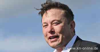 Europawahl: Elon Musk findet AfD-Positionen „nicht extremistisch“