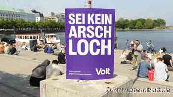 Phänomen „Volt“: Kleinpartei jubelt über Erfolg in Hamburg