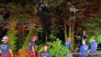 Firefighters use rope system to rescue man who fell down steep slope in Southwest Portland